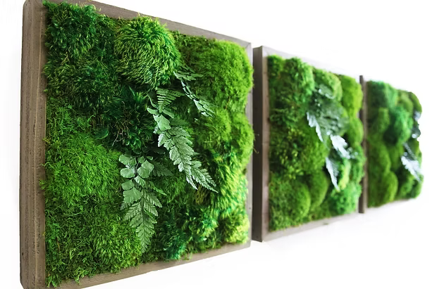 Tableaux vivants