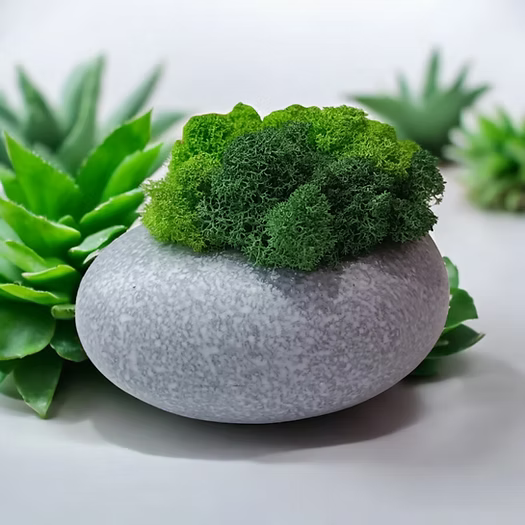 Cache-pot éternel en céramique avec mousse scandinave naturelle vivante