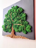 Tableau végétal vivant “L’Arbre de Vie” – Toile noire 60 × 50 cm