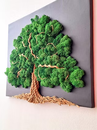 Tableau végétal vivant “L’Arbre de Vie” – Toile noire 60 × 50 cm