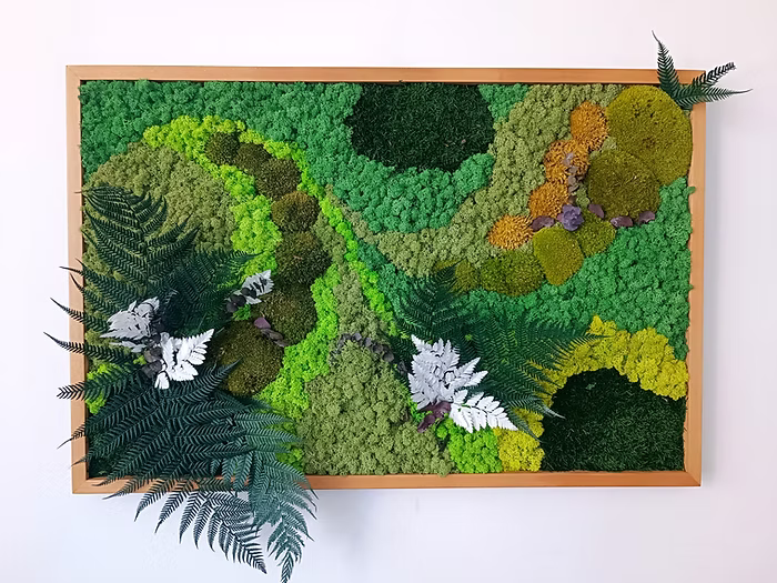 Panneau vivant type tableau en bois massif avec 7 types de mousse