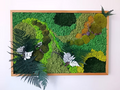 Panneau vivant type tableau en bois massif avec 7 types de mousse