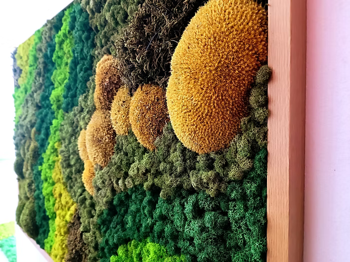 Panneau vivant type tableau en bois massif avec 7 types de mousse