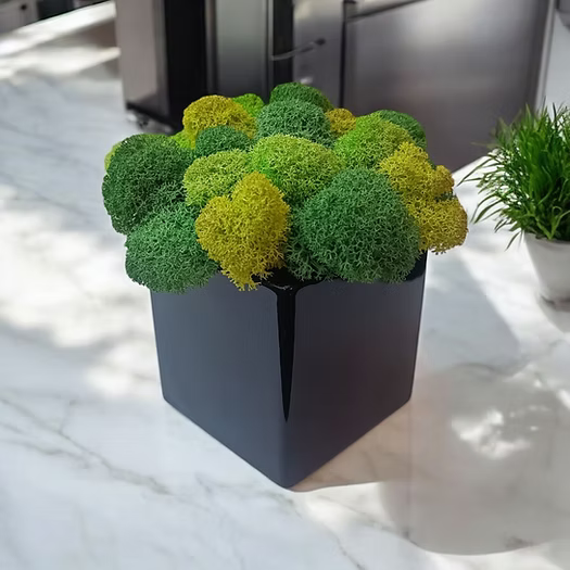 Pot de fleurs en céramique noir brillant