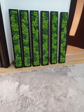 Panneaux muraux rectangulaires en bois massif avec mousse scandinave vivante
