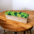 Cache-pot en bambou avec mousse scandinave naturelle vivante