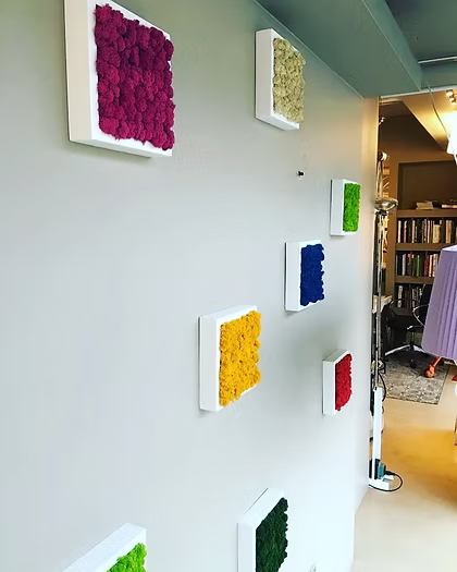 Panneaux muraux décoratifs en bois massif et mousse scandinave vivante
