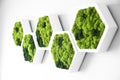 Panneau Mural Hexagonal – Diamètre 30 cm