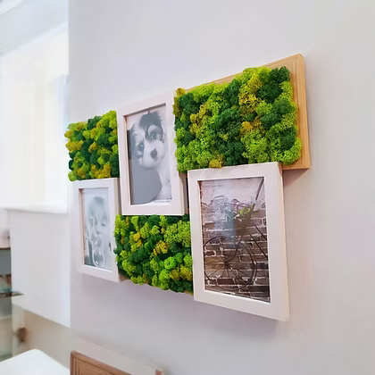 Cadre mural pour 3 photos mousse scandinave stabilisée