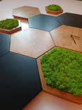 Composition Murale Complète – 10 Éléments en Bois Massif &amp; Mousse Scandinave