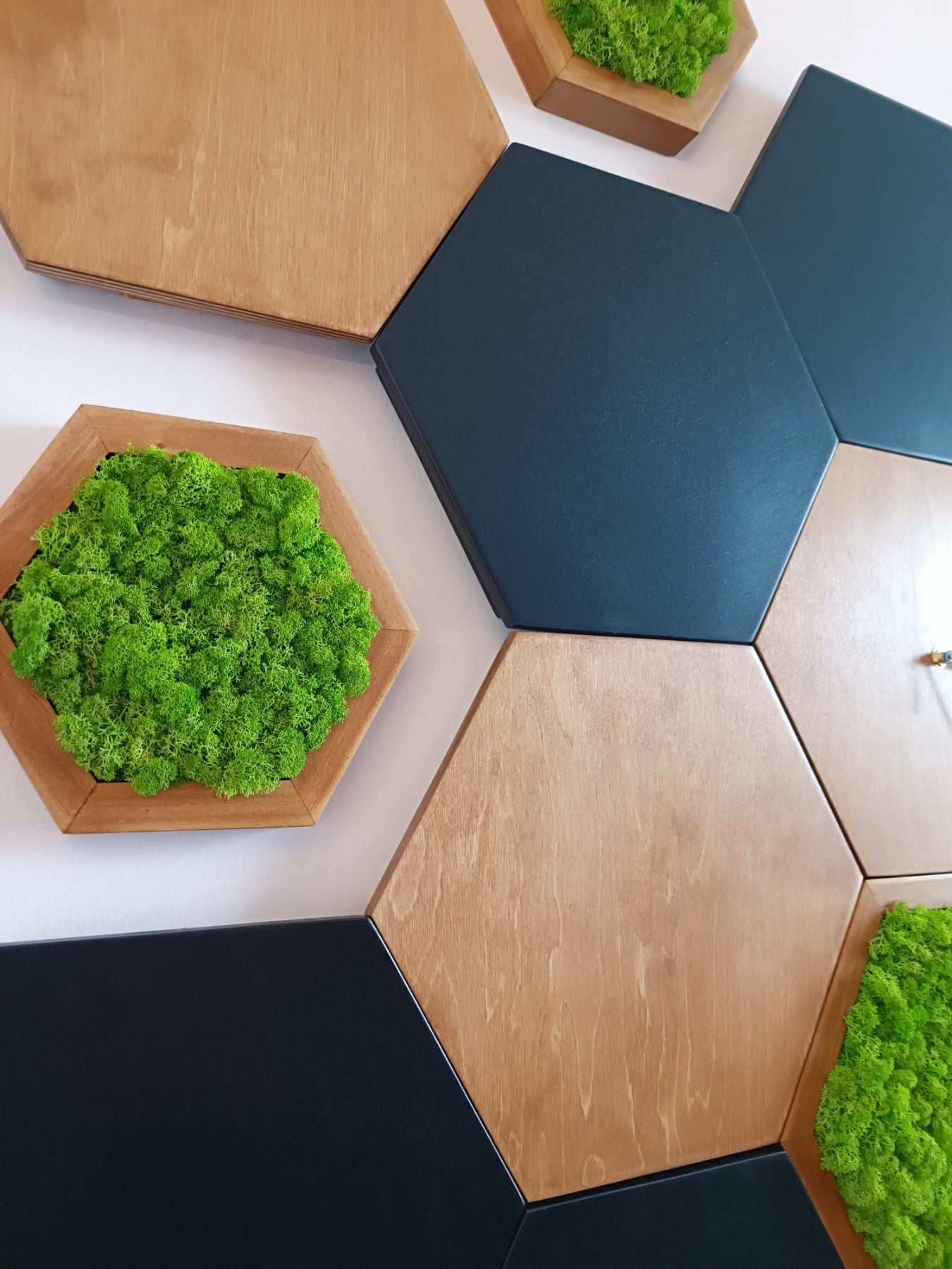 Composition Murale Complète – 10 Éléments en Bois Massif &amp; Mousse Scandinave