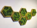 Panneau Mural Hexagonal – Diamètre 30 cm