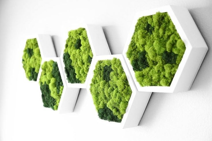 Panneau Mural Hexagonal – Diamètre 30 cm