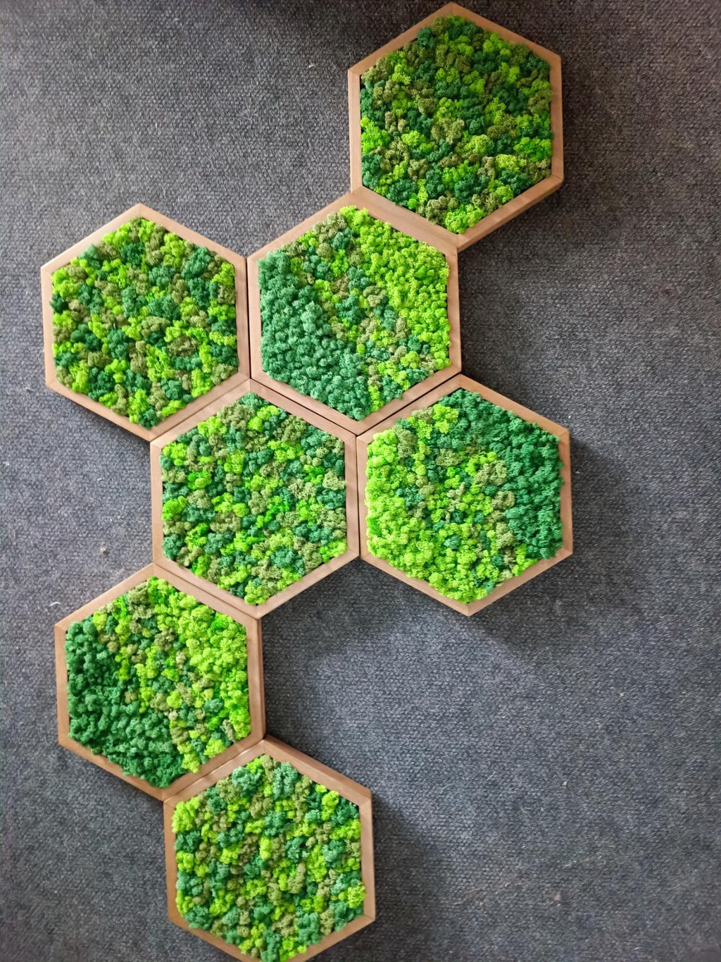 Panneau Mural Hexagonal – Diamètre 30 cm