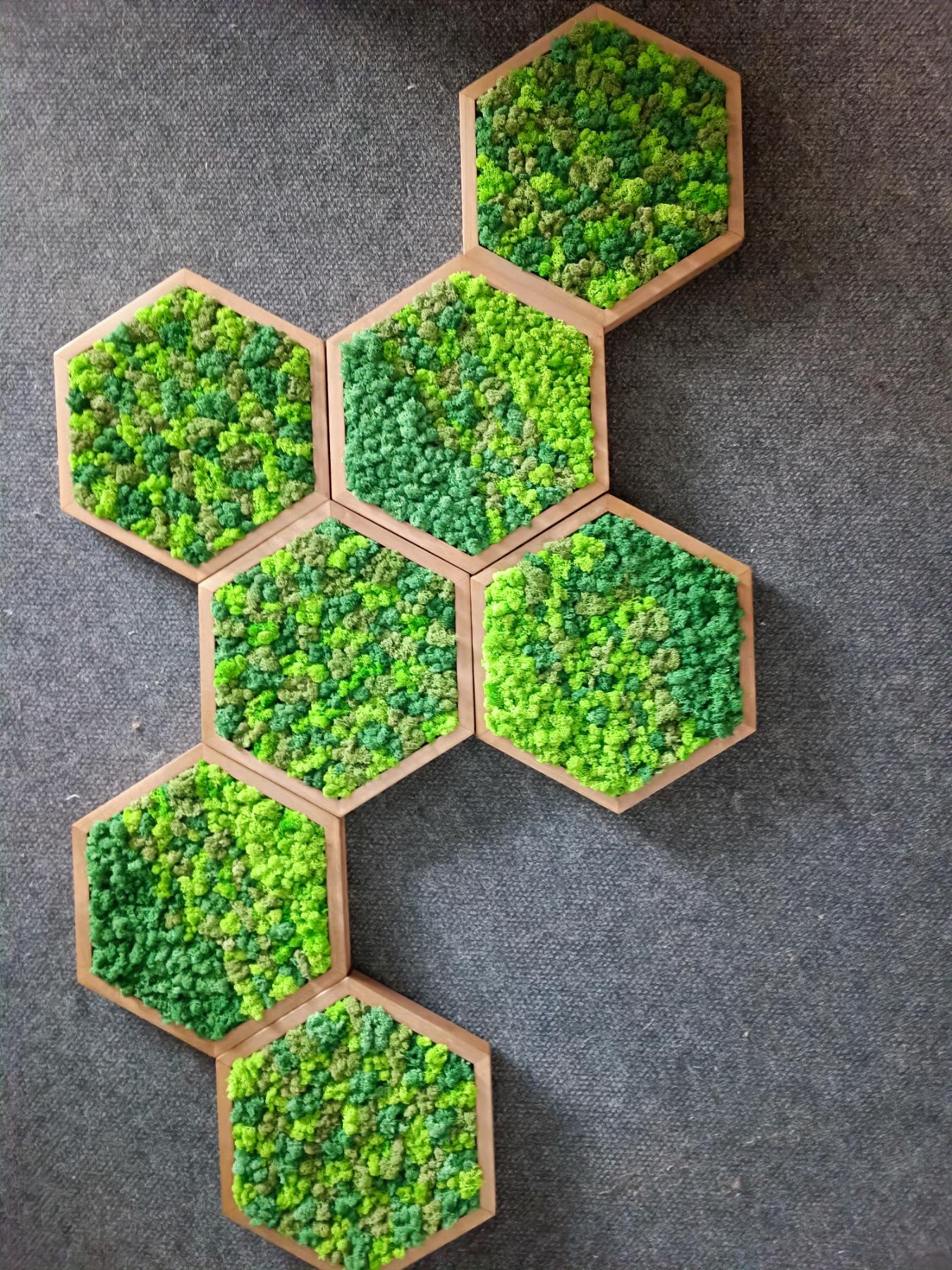 Panneau Mural Hexagonal – Diamètre 30 cm