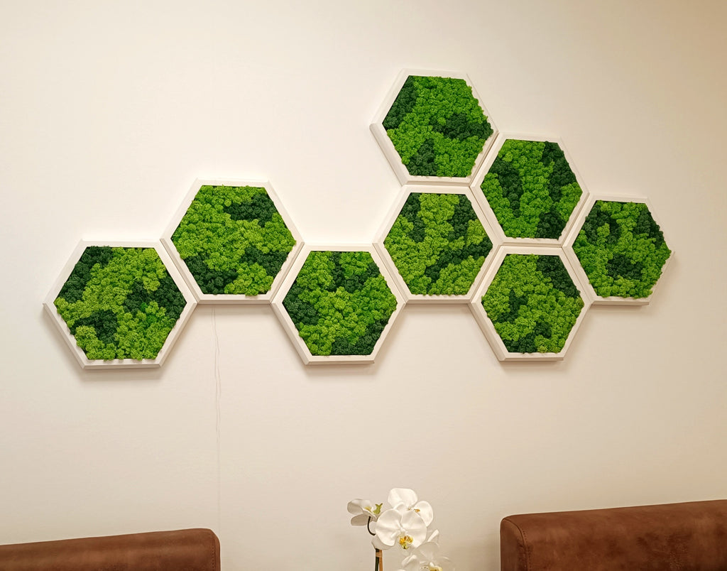 Panneau Mural Hexagonal – Diamètre 30 cm