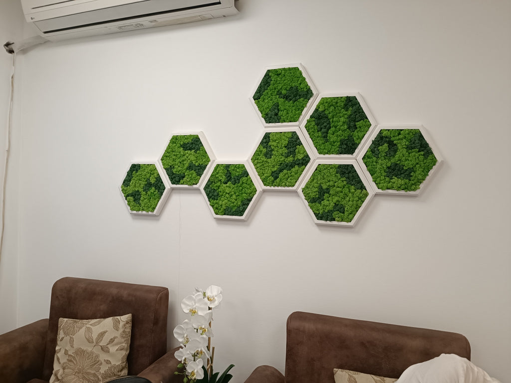 Panneau Mural Hexagonal – Diamètre 30 cm