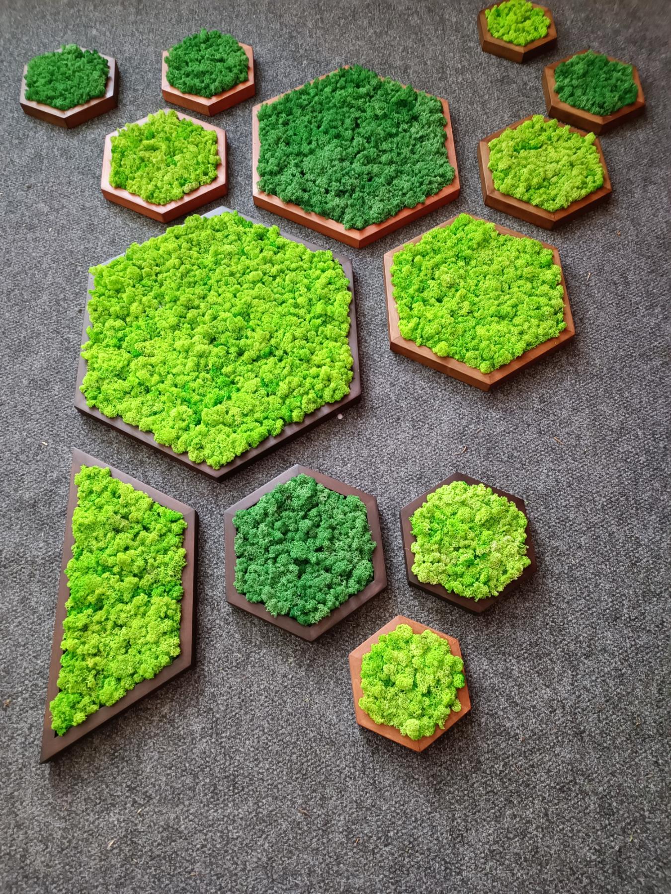 Panneau Mural Hexagonal – Diamètre 30 cm