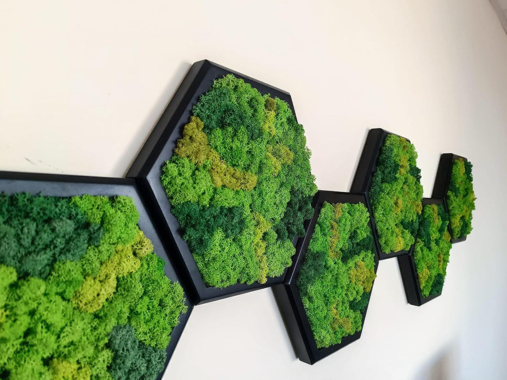Panneau Mural Hexagonal – Diamètre 30 cm