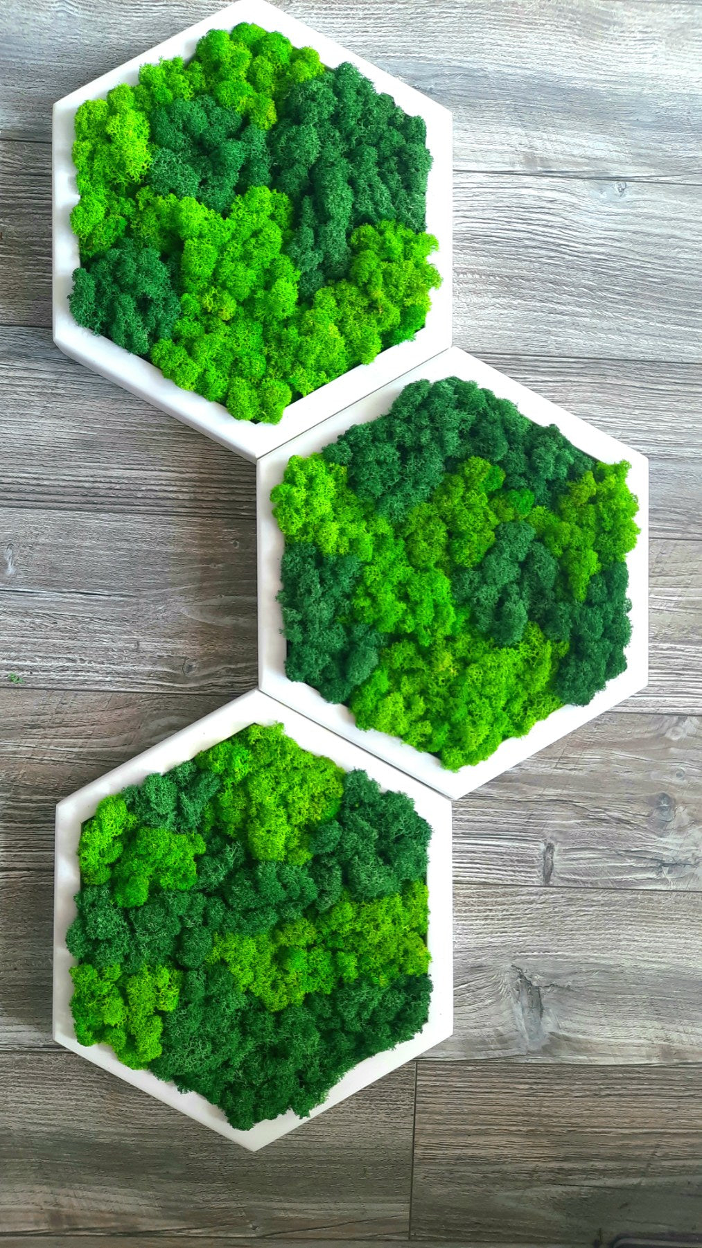 Panneau Mural Hexagonal – Diamètre 30 cm