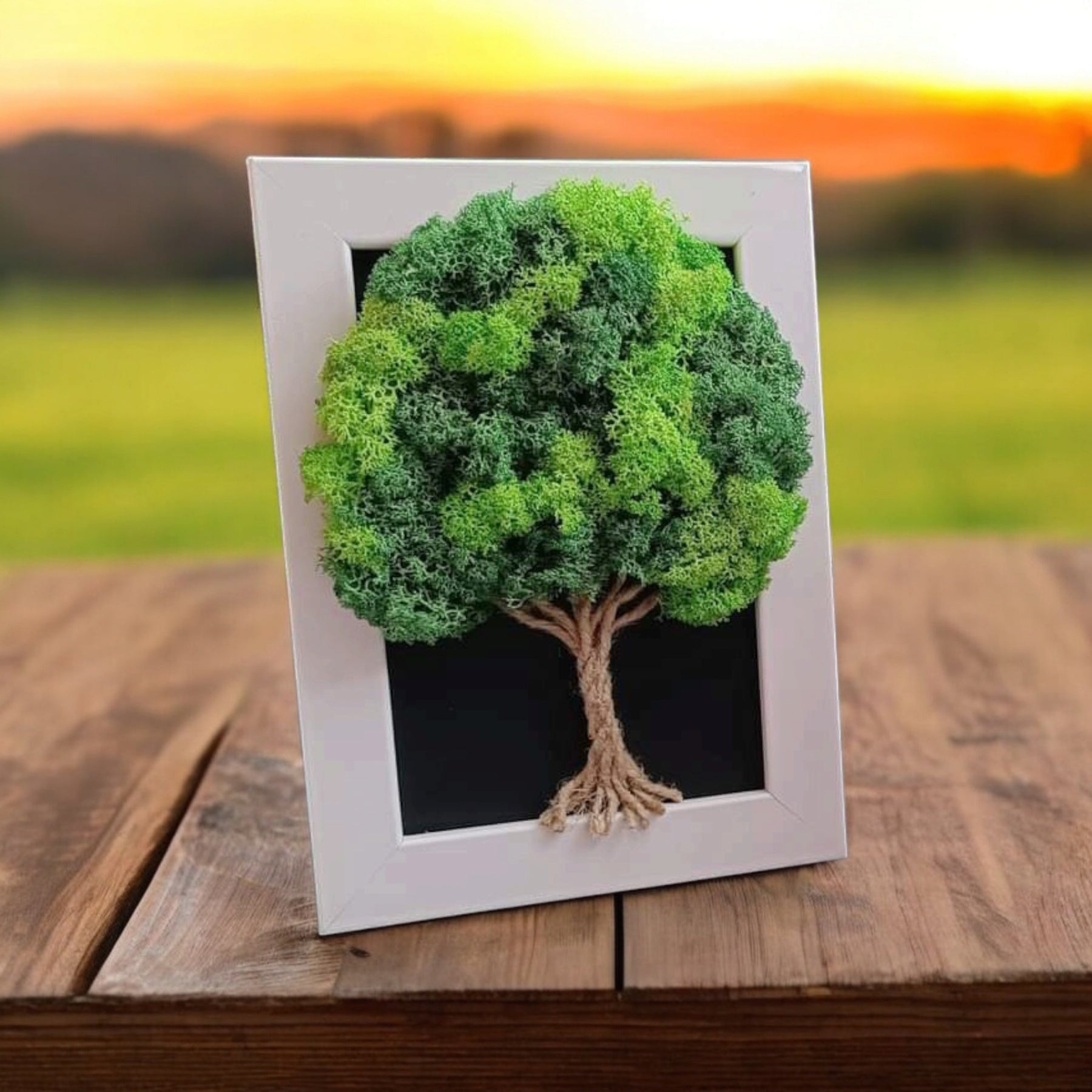 Tableau Végétal « Arbre de Vie » – 20 × 15 cm