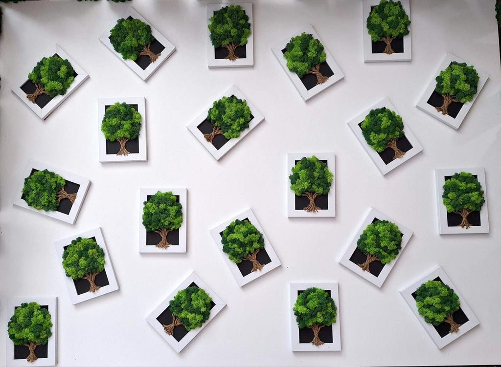 Tableau Végétal « Arbre de Vie » – 20 × 15 cm