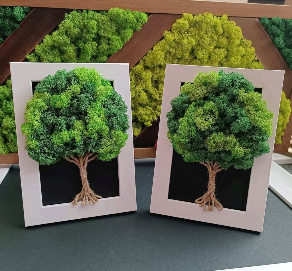 Tableau Végétal « Arbre de Vie » – 20 × 15 cm