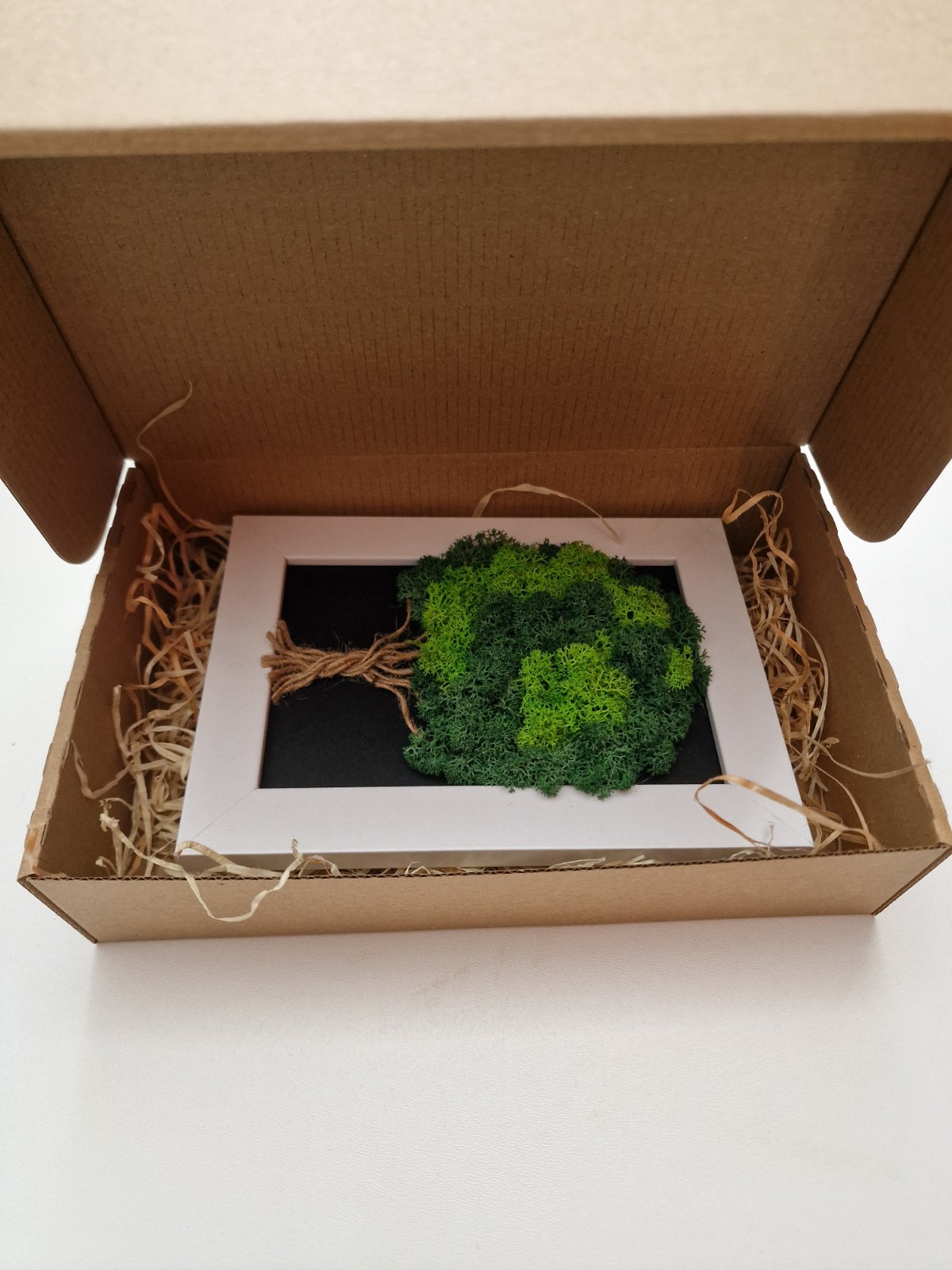 Tableau Végétal « Arbre de Vie » – 20 × 15 cm