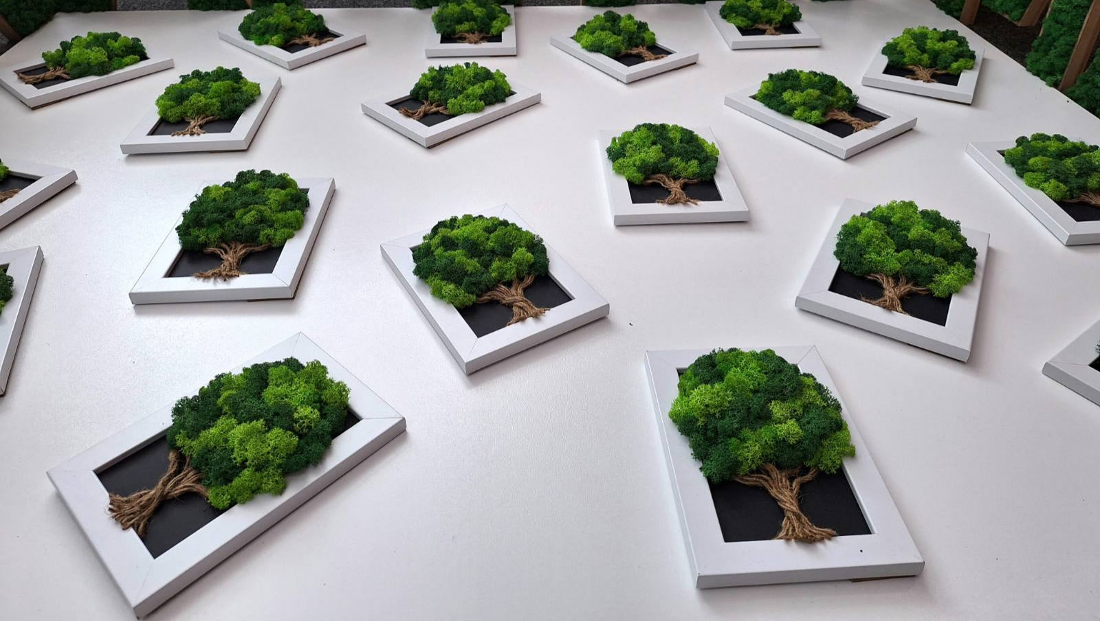 Tableau Végétal « Arbre de Vie » – 20 × 15 cm