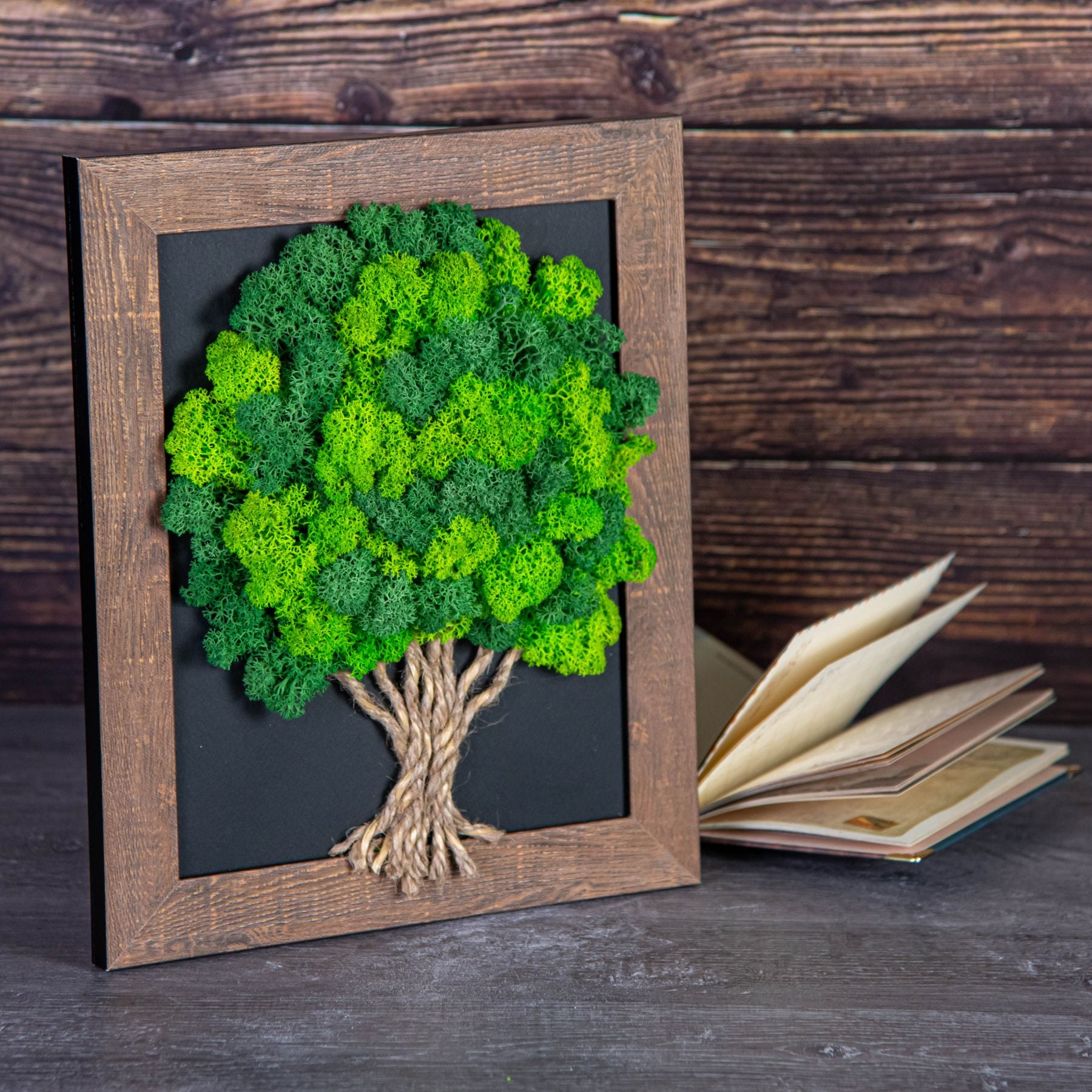 Tableau Végétal « Arbre de Vie » – Cadre Bois Naturel (30 × 25 cm)