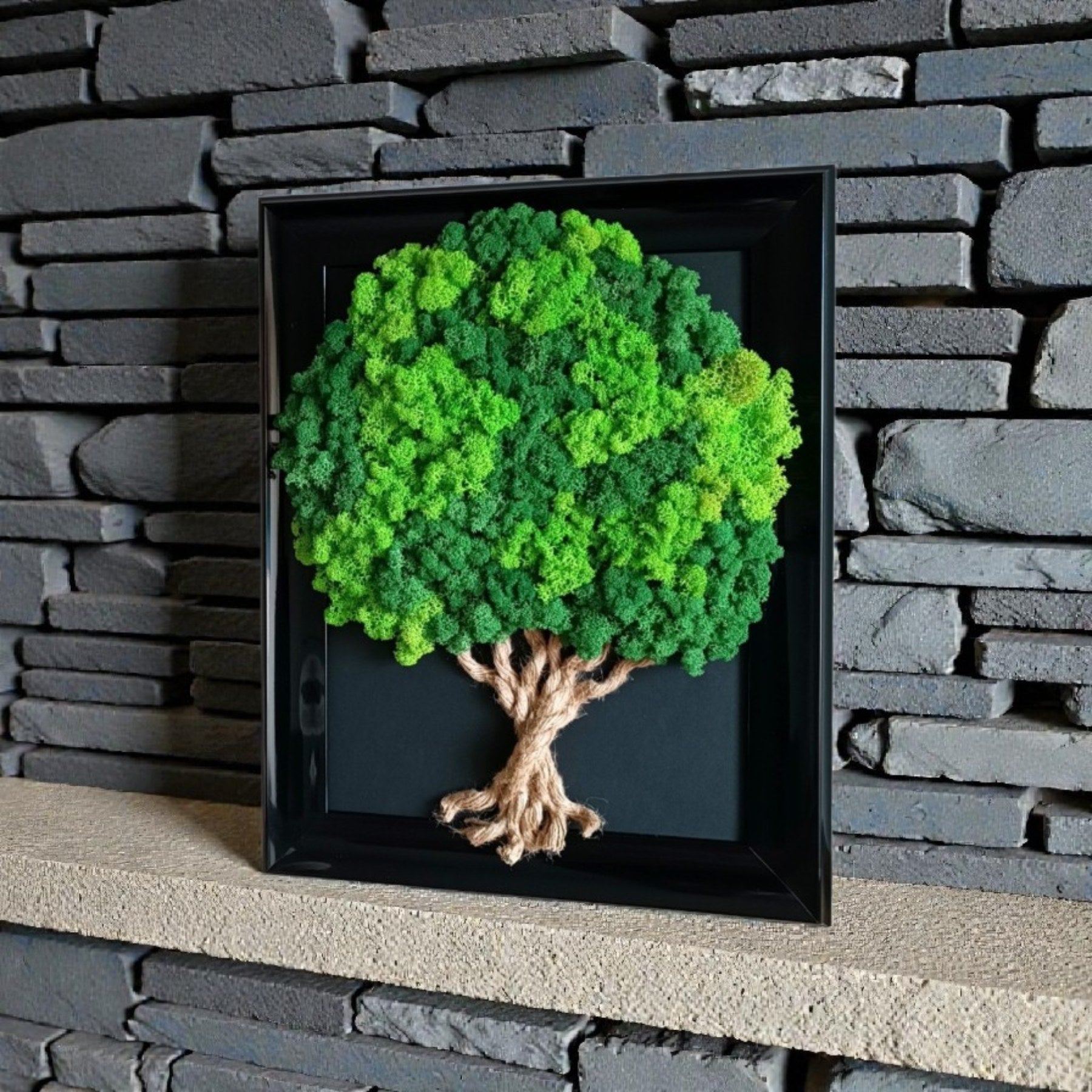 Tableau Végétal « Arbre de Vie » – Cadre Premium Noir Laqué & Fond Noir (50 × 40 cm)
