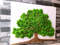 Tableau Végétal « Arbre de Vie » – Toile Blanche (60 × 50 cm)