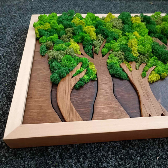 Tableau Végétal « Forêt » – 55 × 32 cm