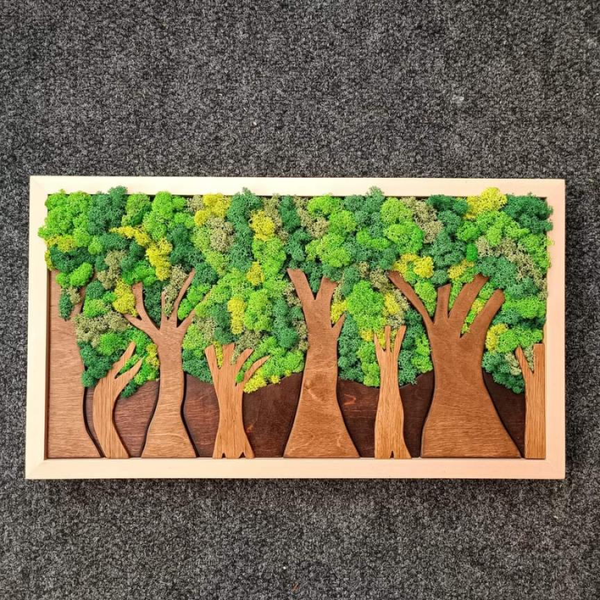 Tableau Végétal « Forêt » – 55 × 32 cm