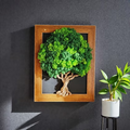 Tableau végétal “L’Arbre de Vie” – Cadre brun clair 50 × 40 cm