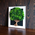 Tableau végétal “L’Arbre de Vie” – Cadre premium blanc brillant 50 × 40 cm