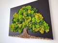 Tableau végétal vivant “L’Arbre de Vie” – Toile noire 60 × 50 cm