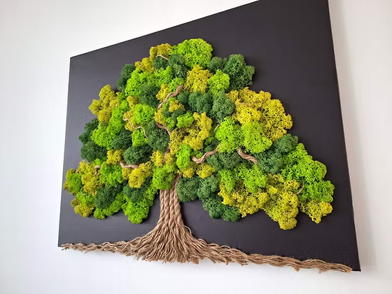 Tableau végétal vivant “L’Arbre de Vie” – Toile noire 60 × 50 cm