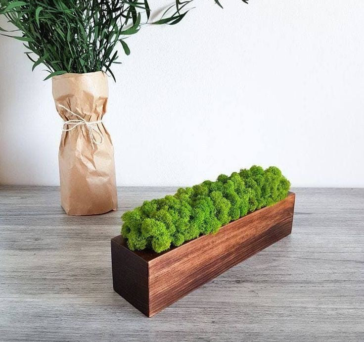 Cache-pot en bambou avec mousse scandinave stabilisée – 30 × 8 cm