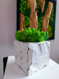 Cache-pot en bois massif finition blanche avec mousse scandinave – 14 × 16 cm