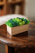 Cache-pot en bambou avec mousse scandinave stabilisée – 3 couleurs – 15 × 8 cm