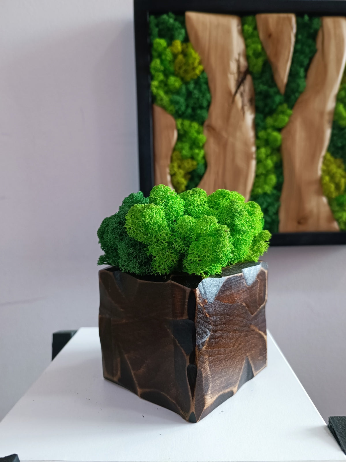 Cache-pot en bois massif verni avec mousse scandinave stabilisée – 14 × 16 cm