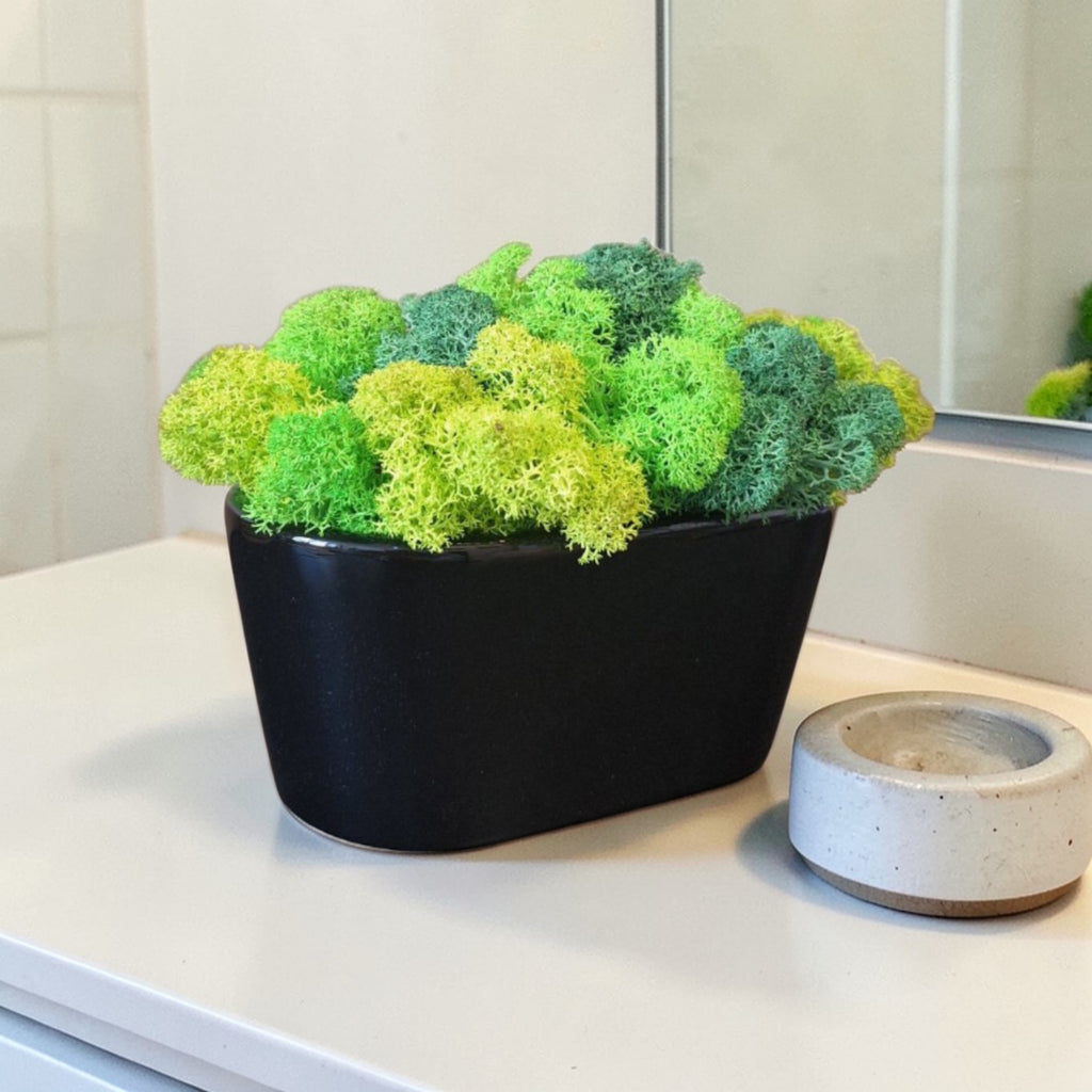 Cache-pot semi-ovale en céramique noire avec mousse scandinave – 17 × 8 cm