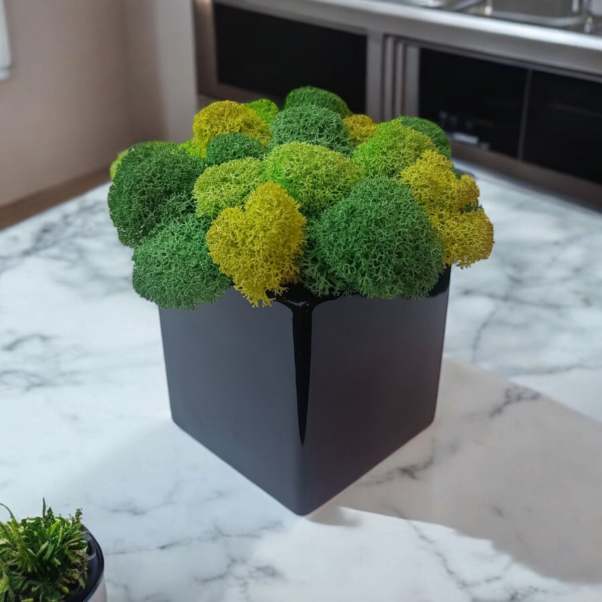 Cache-pot carré en céramique noire brillante avec mousse scandinave – 9 × 9 cm